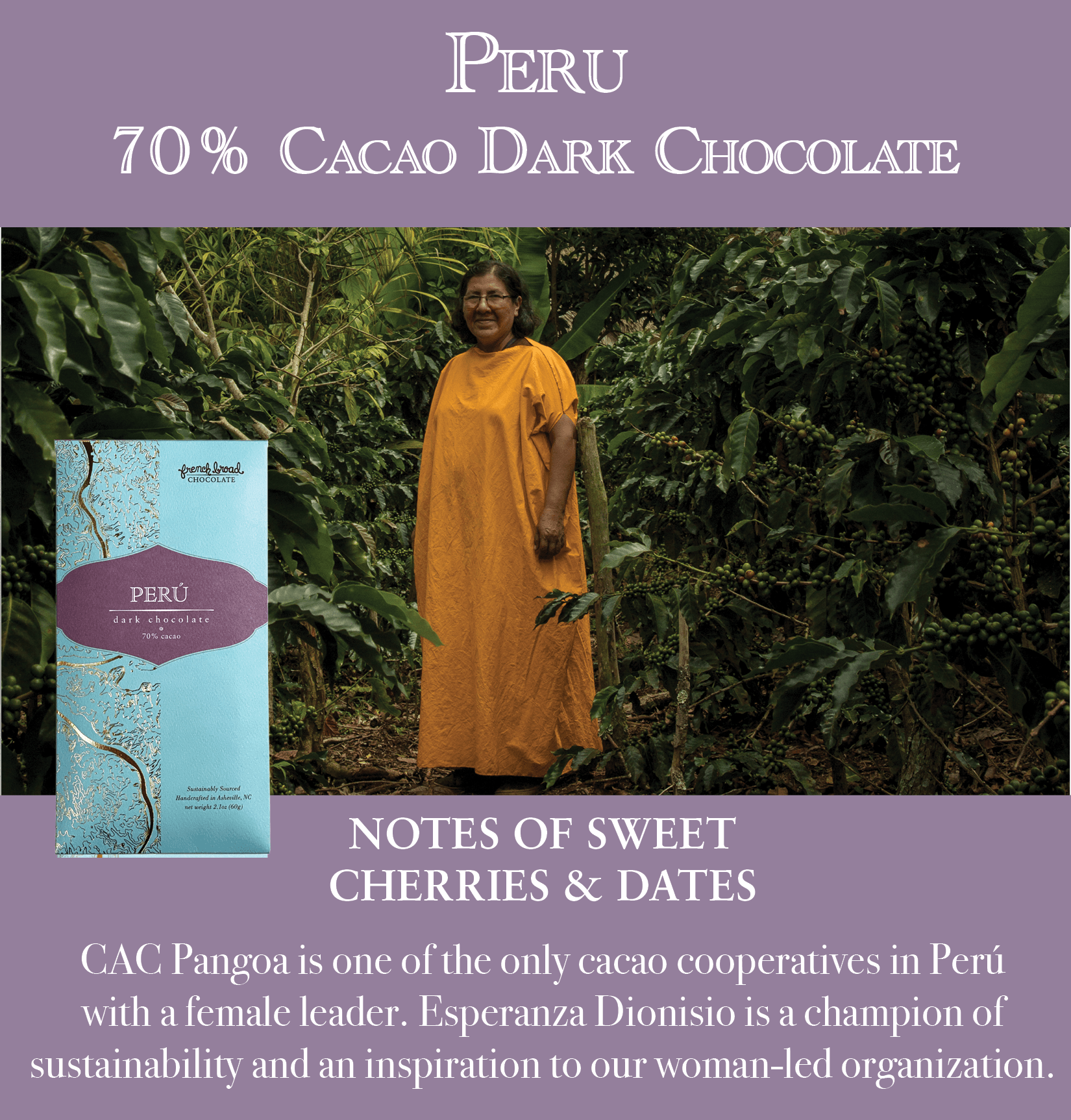 Creole cacao: From the peruvian  - Ecoandino